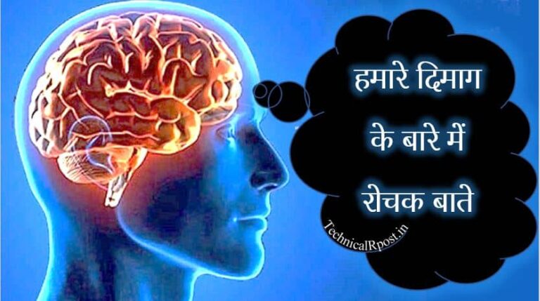 हमारे दिमाग के बारे में रोचक तथ्य, हमारे दिमाग के बारे में रोचक बातें